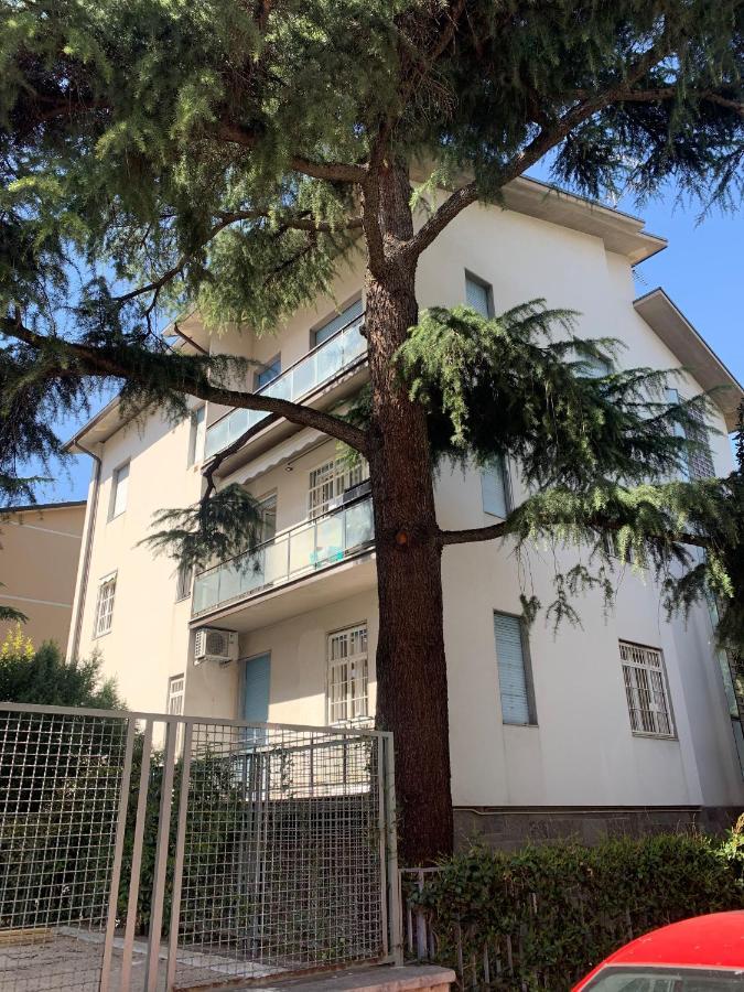 Ghisello Luxury Guesthouse 1 볼로냐 외부 사진